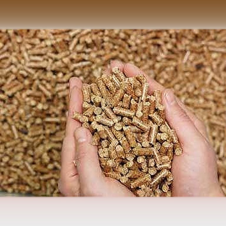 Boiler System Integration with Renewable Energy