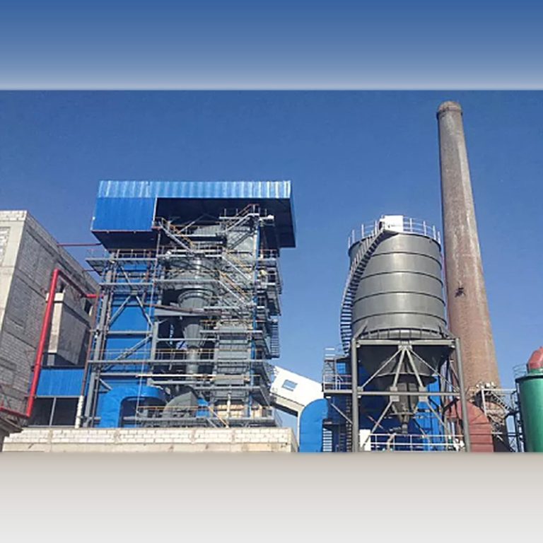 Biomass Fuel Conversion: Environmental and Economic Analysis