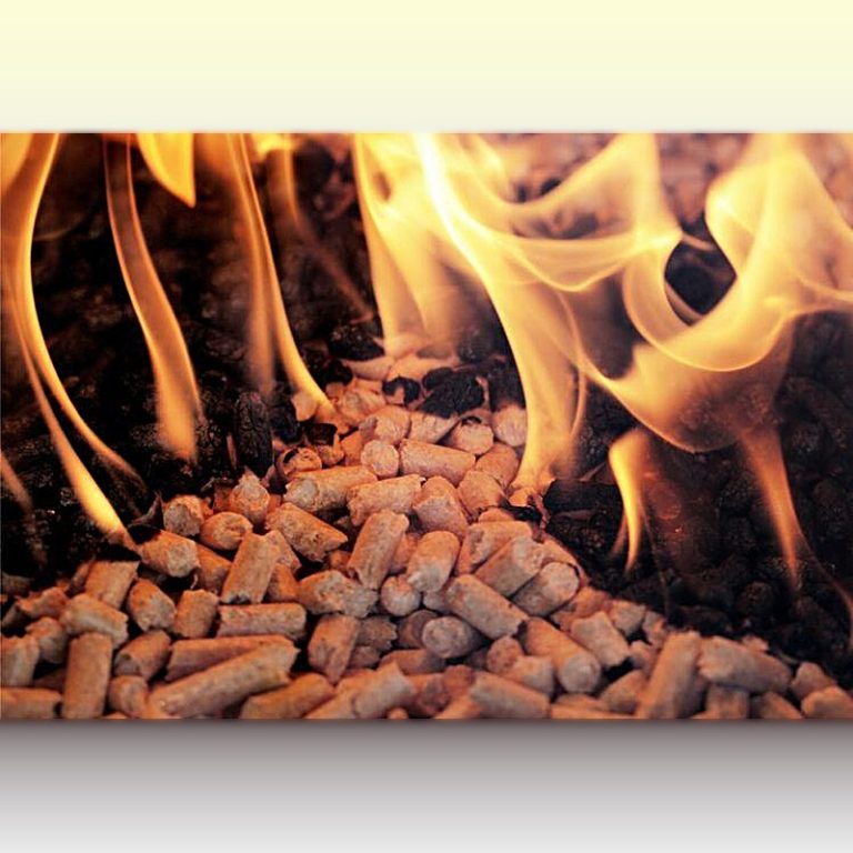 Dairy Processing Boiler Systems