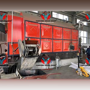DZL Automated Chain Grate Stoker Biomass Steam Boiler