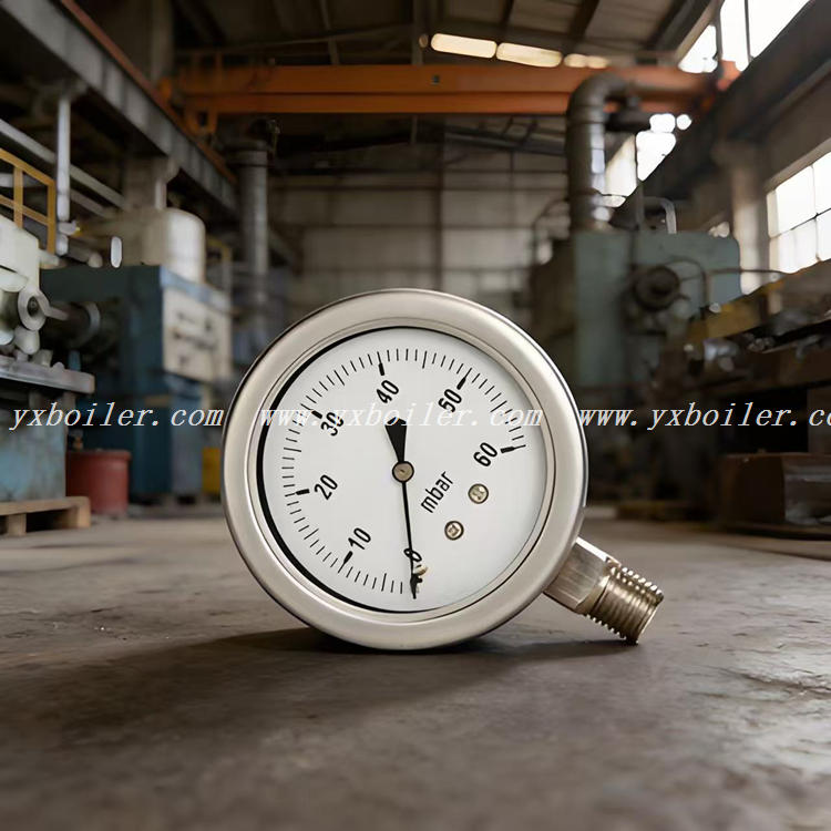 boiler pressure gauge