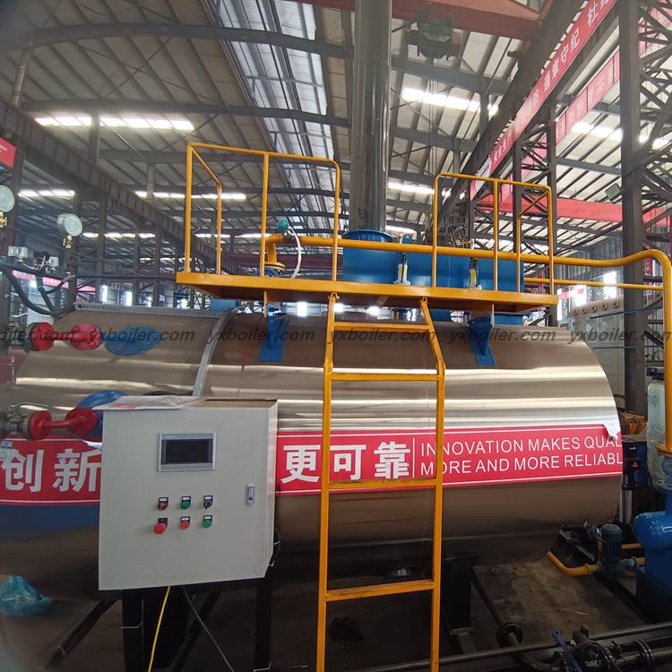 WNS oil gas fired steam boiler real installation site photo