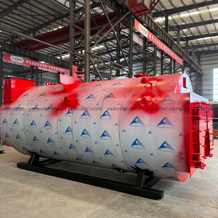 WNS oil gas fired steam boiler real installation site photo