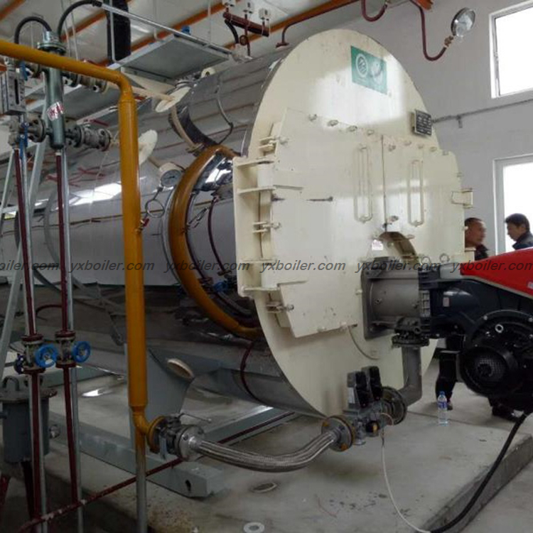 WNS oil gas fired steam boiler real installation site photo