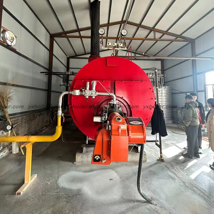 WNS series oil gas fired steam boiler industrial equipment photo